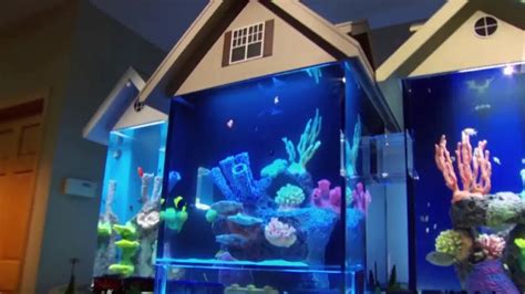 Tanked Season 14 Streaming: Watch & Stream Online via HBO Max.